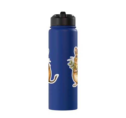 Degu With Leafy Branch Stainless Steel Insulated Water Bottle - color: Royal Blue