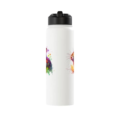 Degu Stainless Steel Insulated Water Bottle - color: White