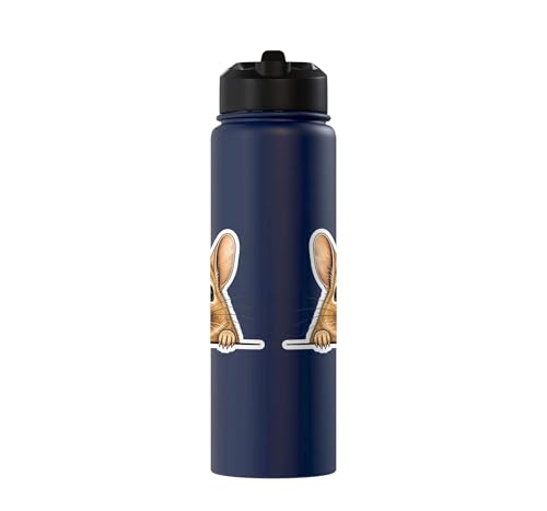 Peeking Degu Stainless Steel Insulated Water Bottle - color: Navy Blue
