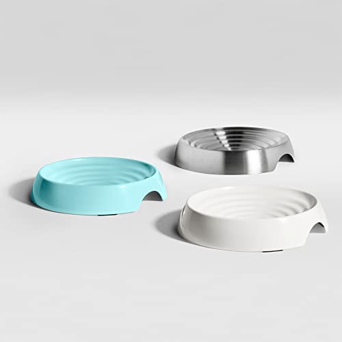 CatGuru Cat Bowls, Whisker Friendly Food Bowl for Indoor Cats, Reliefs Whisker Fatigue, Wide Kitten Dish, Non Slip Pet Dishes, Shallow Pet Plates (Stainless Steel) - color: Stainless Steel, size: Dish