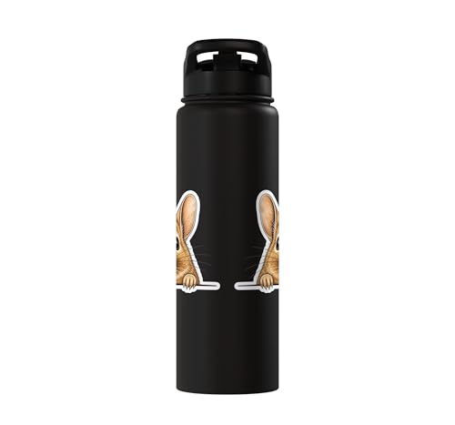 Peeking Degu Stainless Steel Insulated Water Bottle - color: Black
