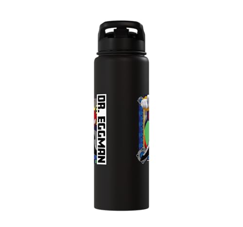 Sonic the Hedgehog - In the Zone - Dr. Eggman Stainless Steel Insulated Water Bottle - color: Black