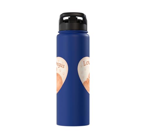 Love My Degus Heart Degu Lover Stainless Steel Insulated Water Bottle - color: Royal Blue