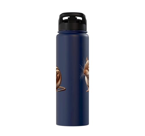 Degu Design Stainless Steel Insulated Water Bottle - color: Navy Blue