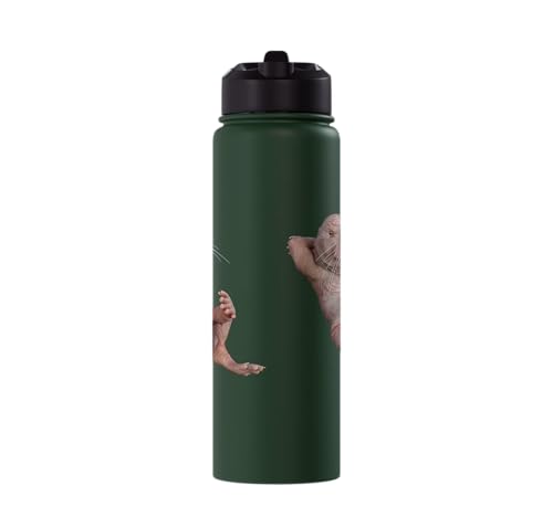 I Just Really Like Naked Moles Ok? Funny Naked Mole Rat Stainless Steel Insulated Water Bottle - color: Dark Green