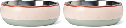 Fringe Studio Speckled Stripe Multi Medium Ceramic Pet Bowl W/Stainless Steel Bowl Insert (6.5" Diameter x 2.5" H, 26 fl.oz.), PetShop Collection (793MD001) (Pack of 2) - color: Speckled Stripe Multi, size: Medium (Pack of 2)