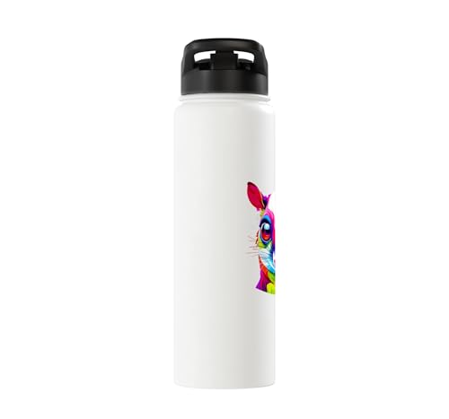Colorful Pop Art Sugar Glider Sugar Gliders Stainless Steel Insulated Water Bottle - color: White