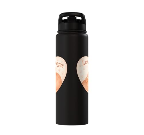 Love My Degus Heart Degu Lover Stainless Steel Insulated Water Bottle - color: Black