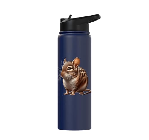 Degu Design Stainless Steel Insulated Water Bottle - color: Navy Blue