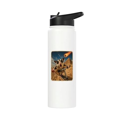 Funny Sugar Glider Riding Scooter Stainless Steel Insulated Water Bottle - color: White