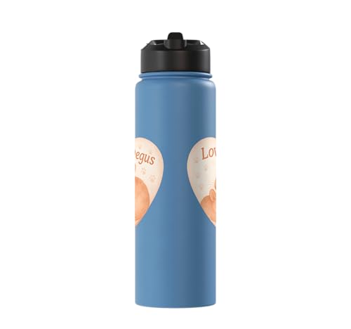 Love My Degus Heart Degu Lover Stainless Steel Insulated Water Bottle - color: Light Blue