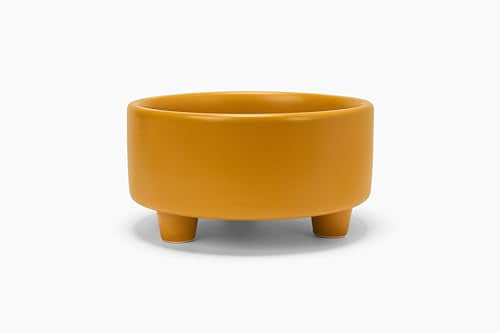 Waggo Uplift Ceramic Dog Bowl for Small Medium and Large Breeds - Heavyweight and Durable Pet Food and Water Dish Crock, Dishwasher Safe, Modern, Elevated Feeder (Mustard, Small) - color: Mustard, size: Small