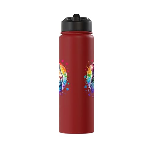 Degu Stainless Steel Insulated Water Bottle - color: Red