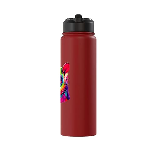 Colorful Pop Art Sugar Glider Sugar Gliders Stainless Steel Insulated Water Bottle - color: Red