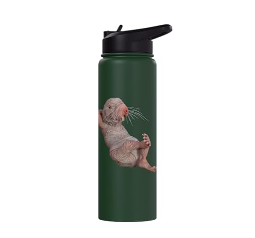 I Just Really Like Naked Moles Ok? Funny Naked Mole Rat Stainless Steel Insulated Water Bottle - color: Dark Green