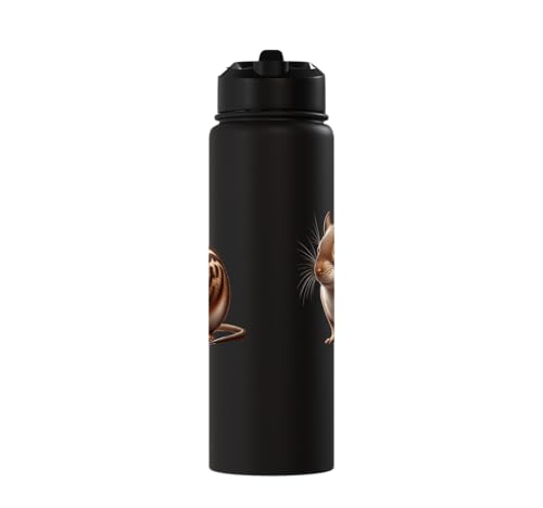 Degu Design Stainless Steel Insulated Water Bottle - color: Black