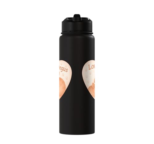 Love My Degus Heart Degu Lover Stainless Steel Insulated Water Bottle - color: Black