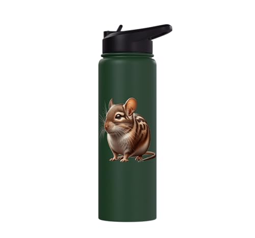 Degu Design Stainless Steel Insulated Water Bottle - color: Dark Green