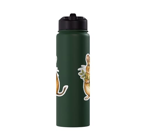 Degu With Leafy Branch Stainless Steel Insulated Water Bottle - color: Dark Green