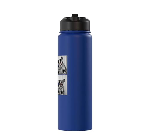 Sugar Glider 4th of July US American Flag Patriotic Stainless Steel Insulated Water Bottle - color: Royal Blue