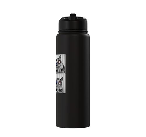 Sugar Glider 4th of July US American Flag Patriotic Stainless Steel Insulated Water Bottle - color: Black