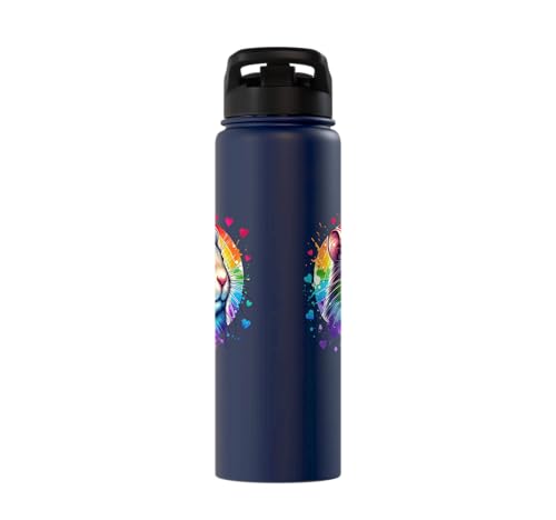 Degu Stainless Steel Insulated Water Bottle - color: Navy Blue