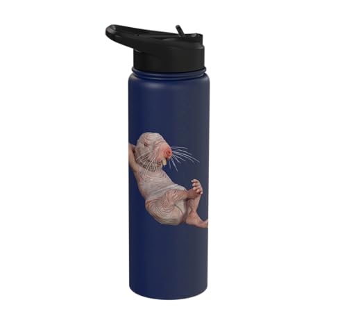 I Just Really Like Naked Moles Ok? Funny Naked Mole Rat Stainless Steel Insulated Water Bottle - color: Navy Blue