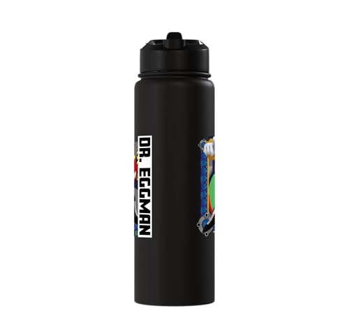 Sonic the Hedgehog - In the Zone - Dr. Eggman Stainless Steel Insulated Water Bottle - color: Black