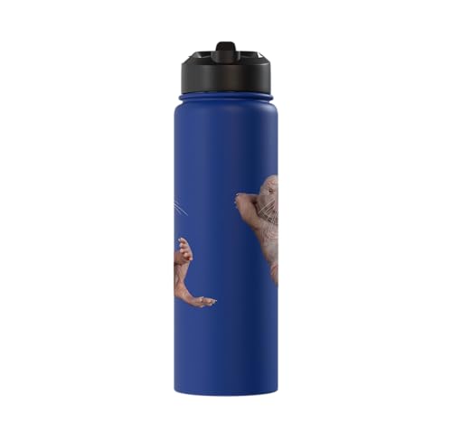 I Just Really Like Naked Moles Ok? Funny Naked Mole Rat Stainless Steel Insulated Water Bottle - color: Royal Blue