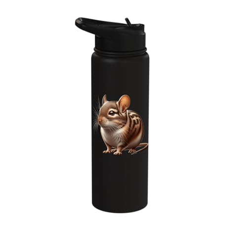 Degu Design Stainless Steel Insulated Water Bottle - color: Black