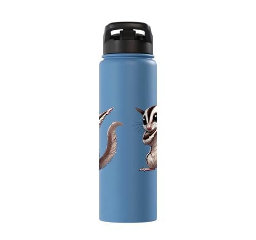 Sugar Glider, Dabbing | Kids, Girls, Boys | Sugar Glider Stainless Steel Insulated Water Bottle - color: Light Blue