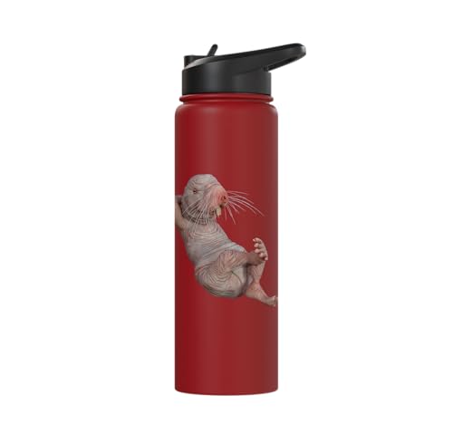 I Just Really Like Naked Moles Ok? Funny Naked Mole Rat Stainless Steel Insulated Water Bottle - color: Red