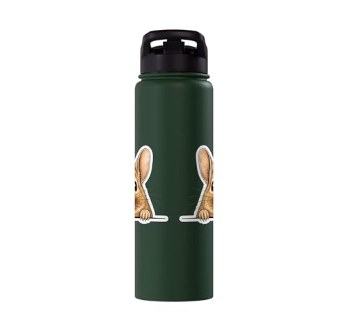 Peeking Degu Stainless Steel Insulated Water Bottle - color: Dark Green