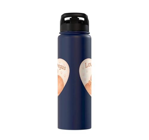 Love My Degus Heart Degu Lover Stainless Steel Insulated Water Bottle - color: Navy Blue