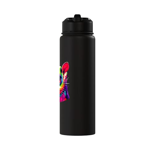 Colorful Pop Art Sugar Glider Sugar Gliders Stainless Steel Insulated Water Bottle - color: Black