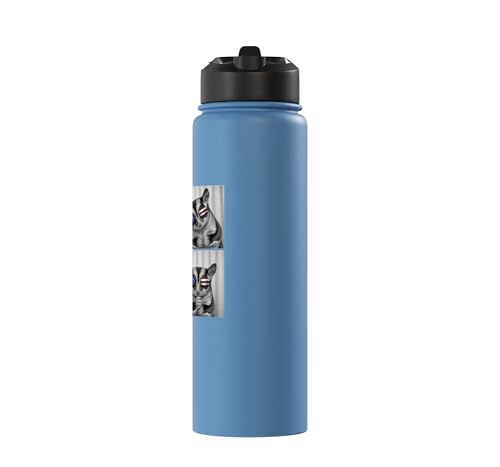 Sugar Glider 4th of July US American Flag Patriotic Stainless Steel Insulated Water Bottle - color: Light Blue