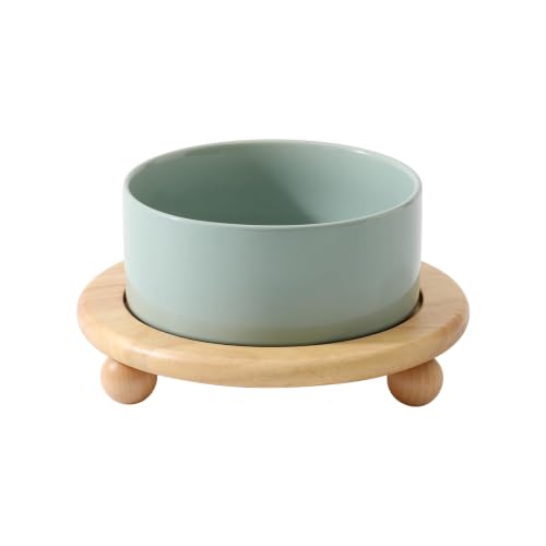 Havniva Raised Cat Bowl 6.1” Elevated Ceramic Cat Food and Water Bowl | Cat Bowls Elevated, Whisker Friendly Cat Bowl, Non-Slip Wood Stand, Food-Grade Ceramic, Wide Opening, Dishwasher Safe - color: Light Green, size: 6.1inch - Bowl+Stand
