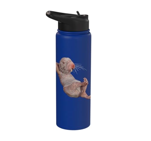 I Just Really Like Naked Moles Ok? Funny Naked Mole Rat Stainless Steel Insulated Water Bottle - color: Royal Blue