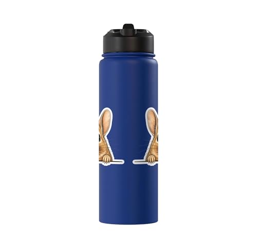 Peeking Degu Stainless Steel Insulated Water Bottle - color: Royal Blue