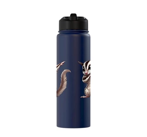 Sugar Glider, Dabbing | Kids, Girls, Boys | Sugar Glider Stainless Steel Insulated Water Bottle - color: Navy Blue