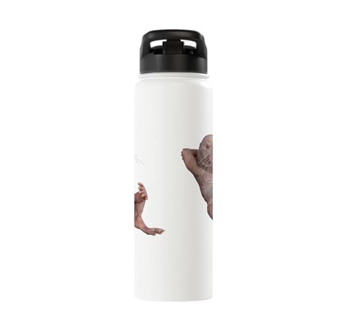 I Just Really Like Naked Moles Ok? Funny Naked Mole Rat Stainless Steel Insulated Water Bottle - color: White