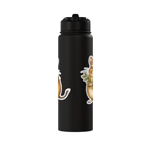 Degu With Leafy Branch Stainless Steel Insulated Water Bottle - color: Black