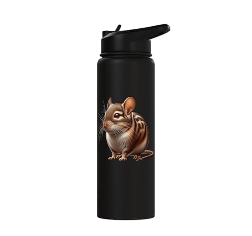 Degu Design Stainless Steel Insulated Water Bottle - color: Black