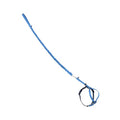 PetSafe Come with Me Kitty Harness and Bungee Cat Leash, Royal Blue, Medium | Adjustable 2-Point Fit Applies Gentle Pressure to Shoulders, Not Neck, for Small & Average Cats with 10.5 in - 14 in Girth - color: Royal Blue, size: Medium (Pack of 1)