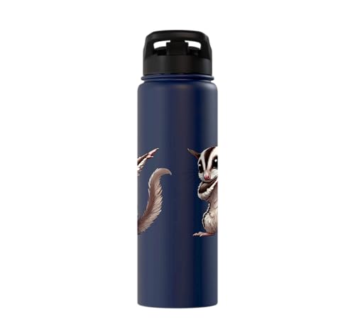 Sugar Glider, Dabbing | Kids, Girls, Boys | Sugar Glider Stainless Steel Insulated Water Bottle - color: Navy Blue