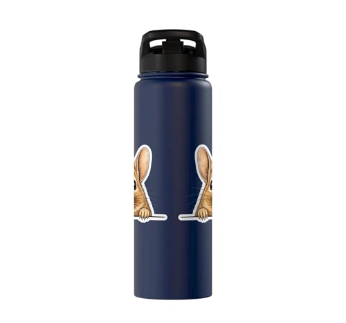 Peeking Degu Stainless Steel Insulated Water Bottle - color: Navy Blue