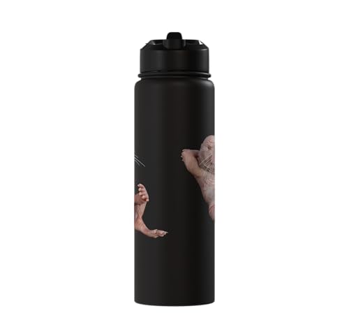 I Just Really Like Naked Moles Ok? Funny Naked Mole Rat Stainless Steel Insulated Water Bottle - color: Black