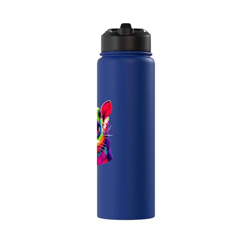 Colorful Pop Art Sugar Glider Sugar Gliders Stainless Steel Insulated Water Bottle - color: Royal Blue