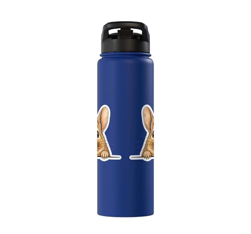 Peeking Degu Stainless Steel Insulated Water Bottle - color: Royal Blue