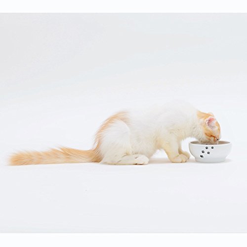 Necoichi Shallow Wide Ceramic Cat Food & Water Bowl (Paw, Basic Flat) - color: Cat-
